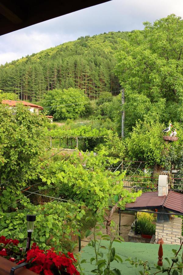 Green House - Попниколови Sapareva Banya Εξωτερικό φωτογραφία