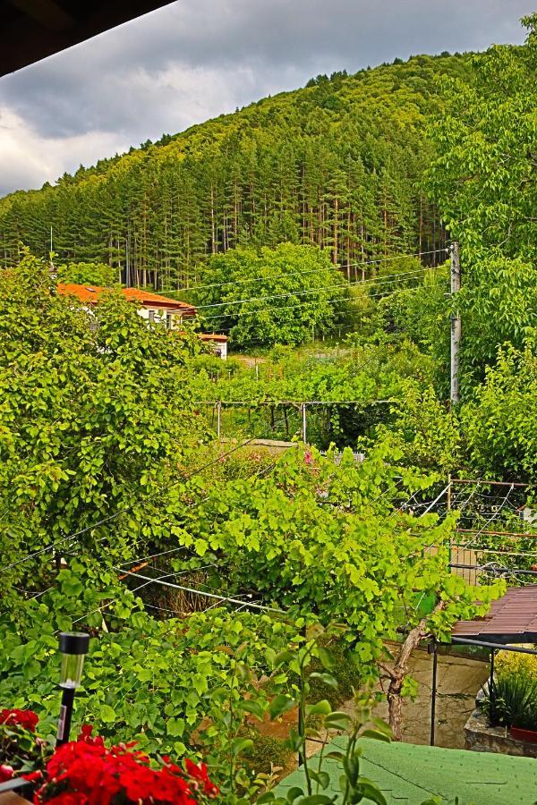 Green House - Попниколови Sapareva Banya Εξωτερικό φωτογραφία